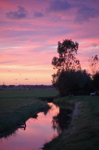_MG_4115      