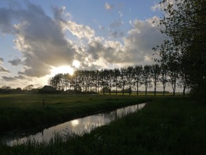 webP1060384   