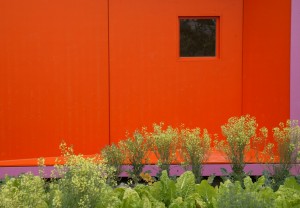 bgtuinhuis15 