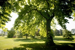 park2       